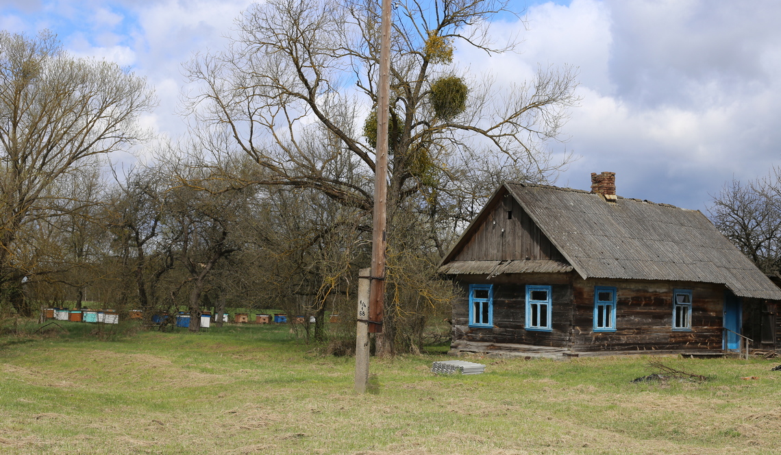 Деревня Николаево Каменецкий район