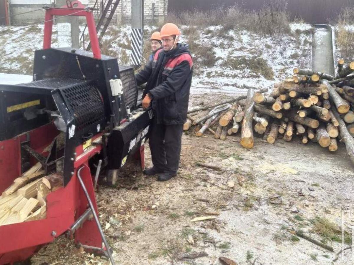 В Беларуси древесину начнут продавать по новым правилам. Узнали подробности  – KAMENEC.BY инфопортал Каменецкого района