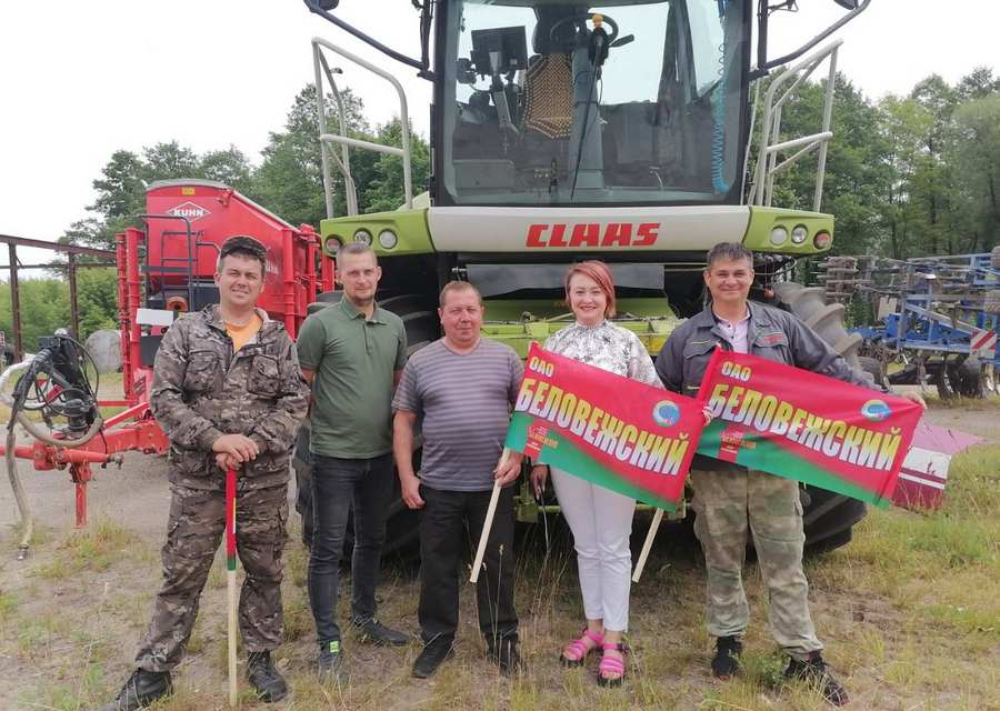 Деревня Николаево Каменецкий район